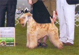 Jorja · Bucks Winner 2008