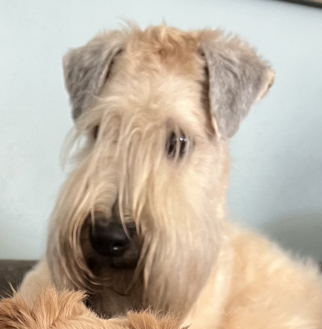 Photo of Mabel
