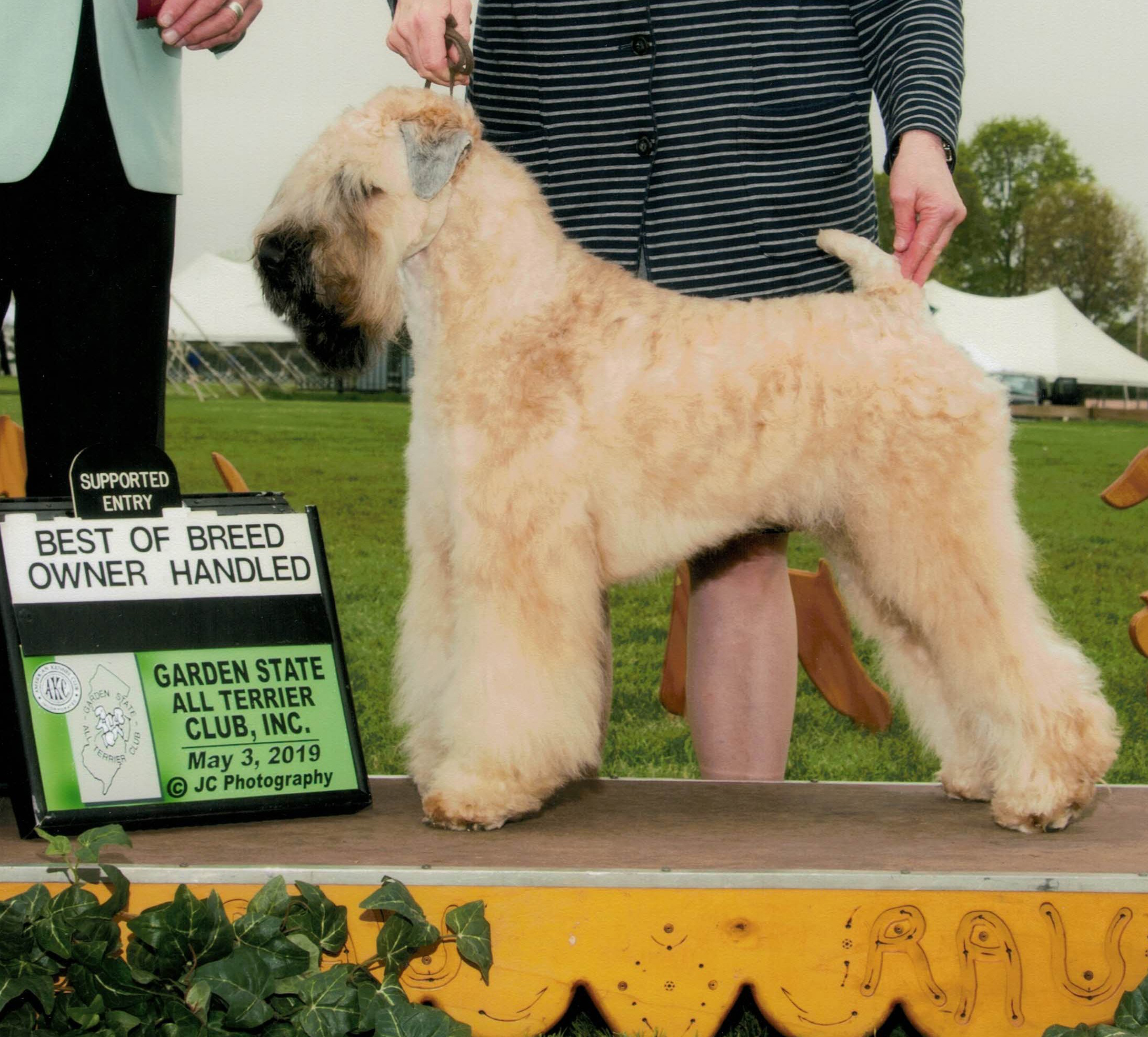 Photo of Charlie
