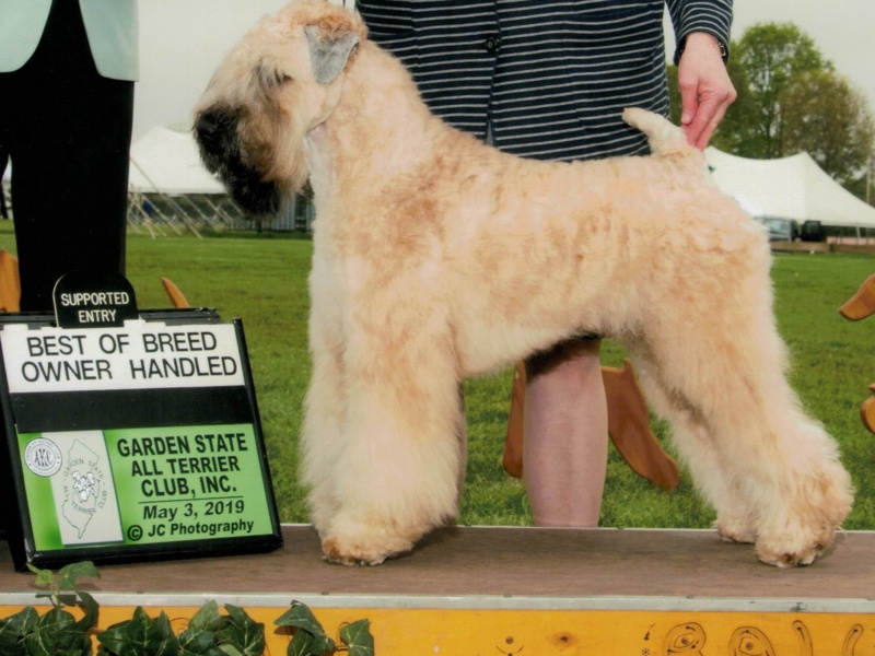 Photo of Charlie